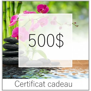 CERTIFICAT CADEAU 500